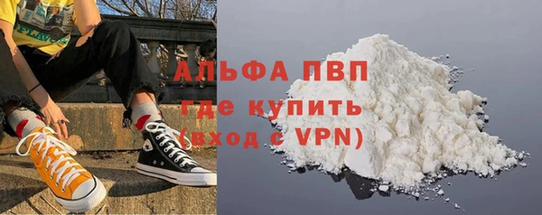 a pvp Бородино