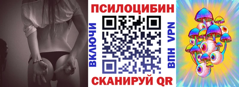 Купить закладки  Гаврилов Посад  Псилоцибиновые грибы прущие грибы 